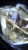 Diament Brylant 1.01ct H/VS1 3xEx.